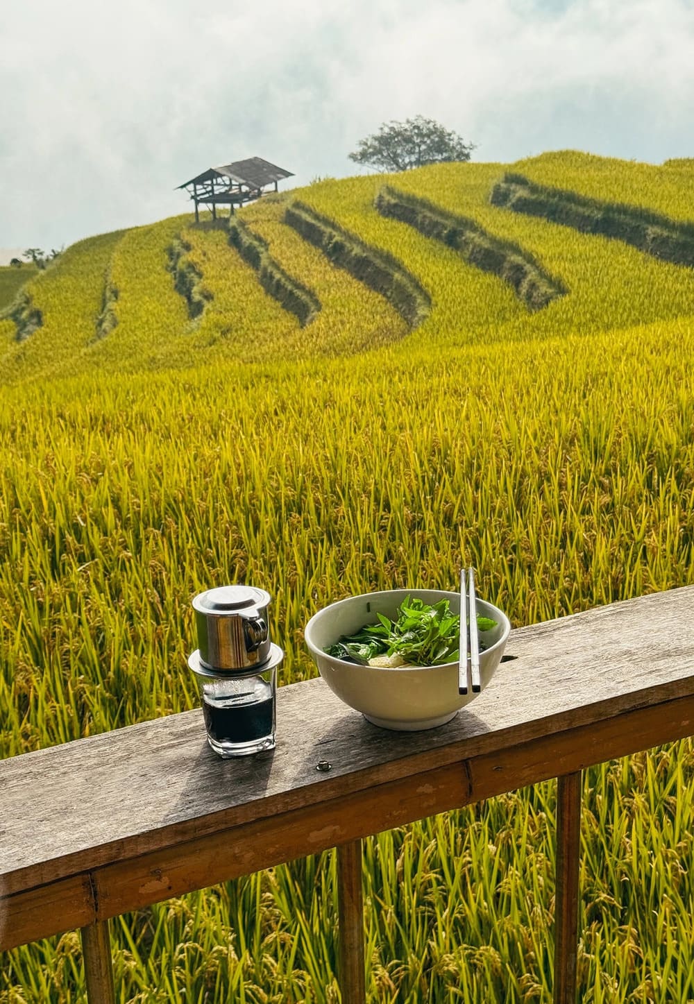 hoang su phi