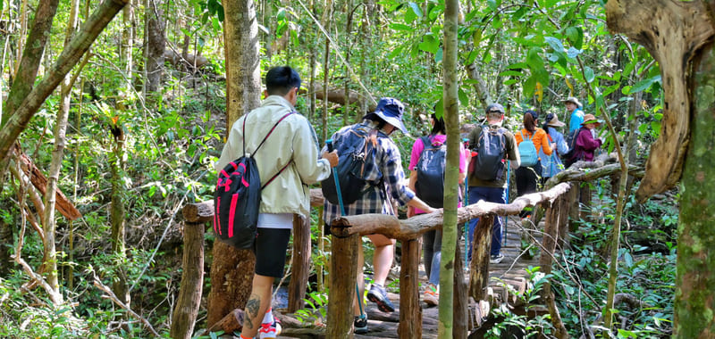 phu quoc trêkking