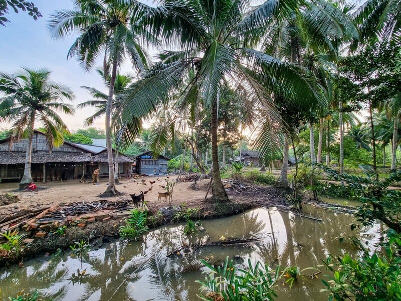 region rural en delta del mekong