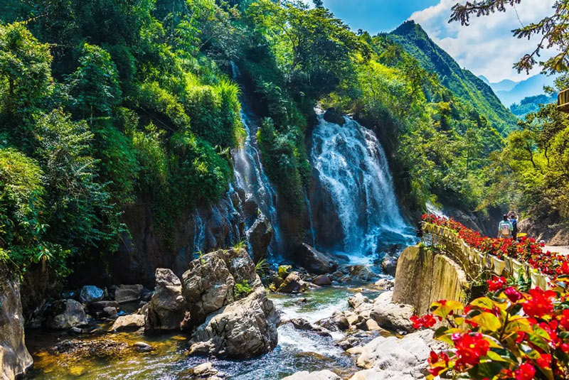 cat cat village image