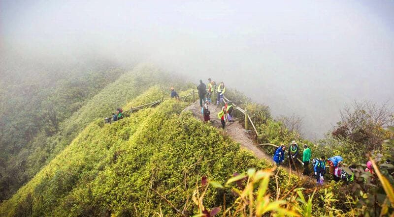 f you want to trek in Fansipan, you must book a tour through a travel agency, which has legally applied for a hiking permit in Fansipan