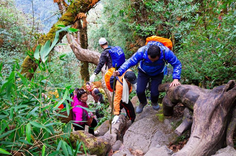 Tourists and locals climb the mountain