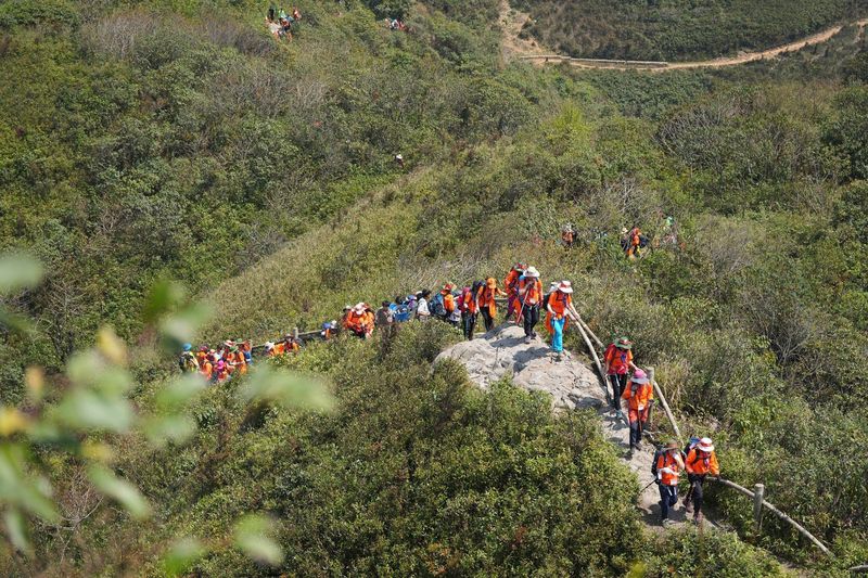 Groups of tourists undertake their discovery