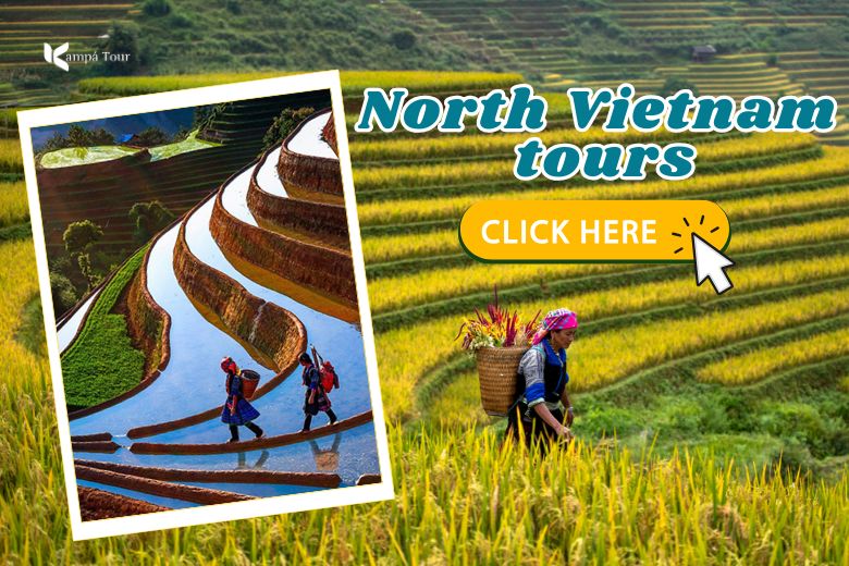 vietnam tours