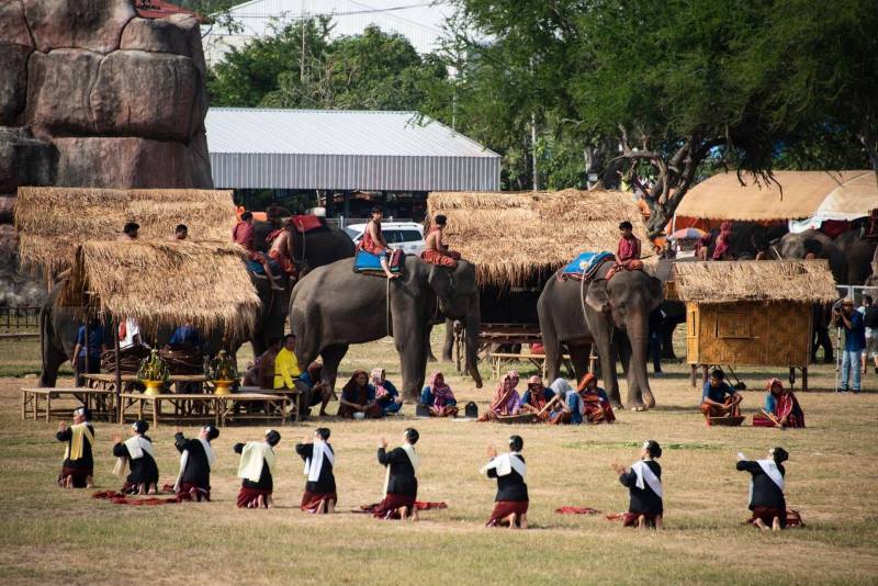 festival de elefantes en tailandia
