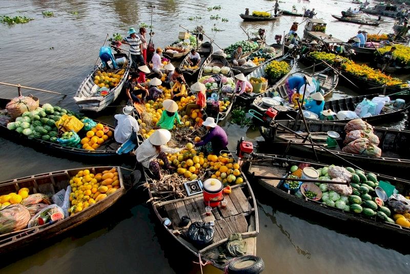 The bustling commercial atmosphere at Cai Rang Floating Market, Can Tho