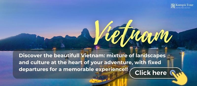 Vietnam best tours
