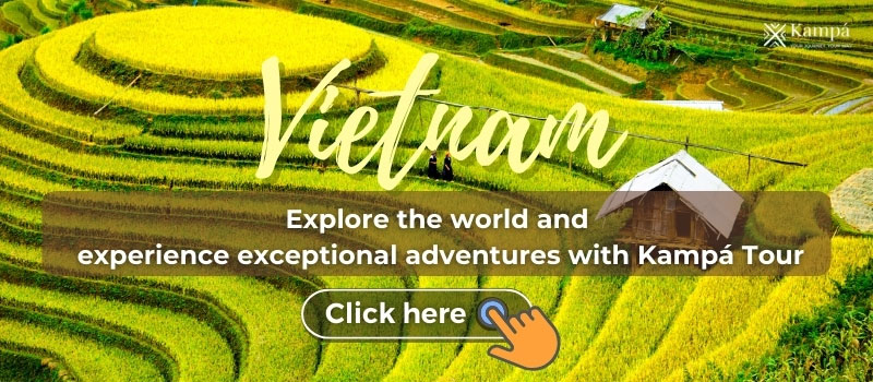 Vietnam Tours