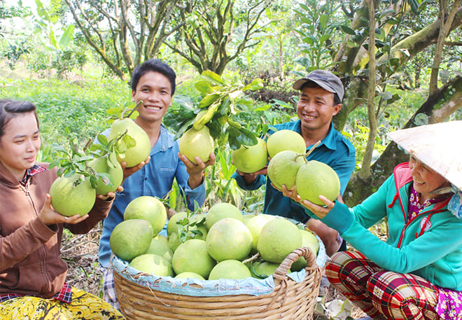 Mekong Delta 