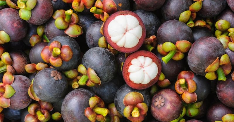 frutas de camboya - mangostan
