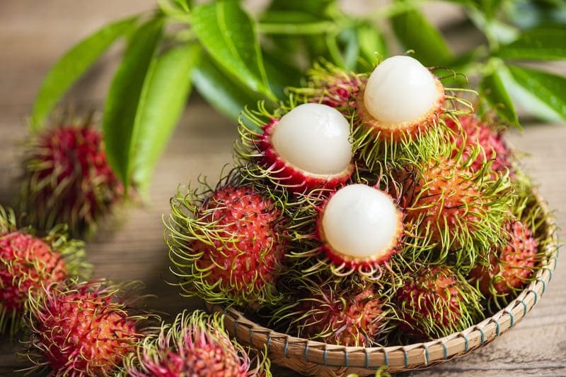frutas de camboya - rambutan