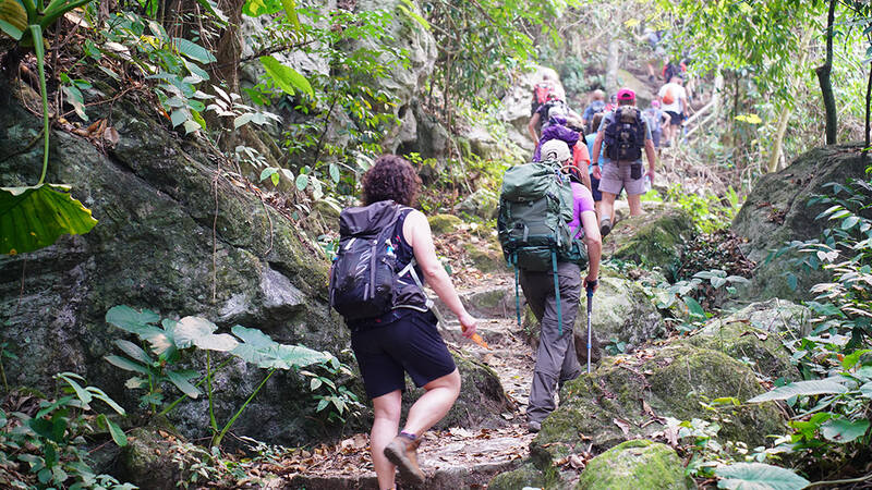 senderismo en gibbon experience