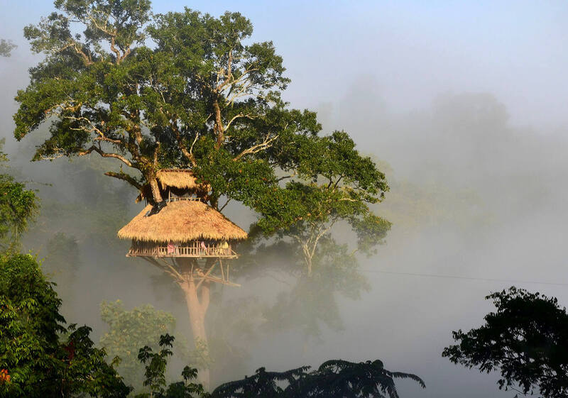 paisaje de gibbon experience