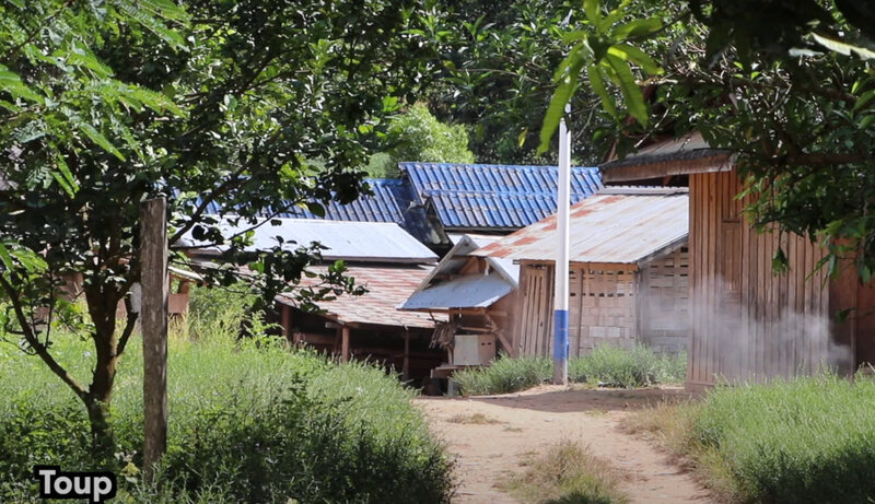 pueblo de toup en gibbon experience