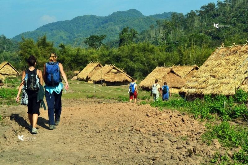 senderismo en gibbon experience