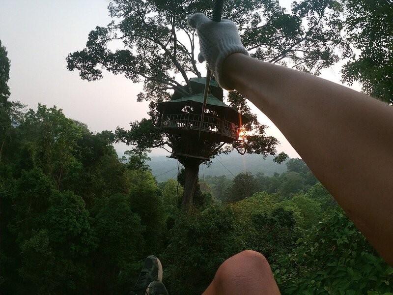tirolinas en gibbon experience