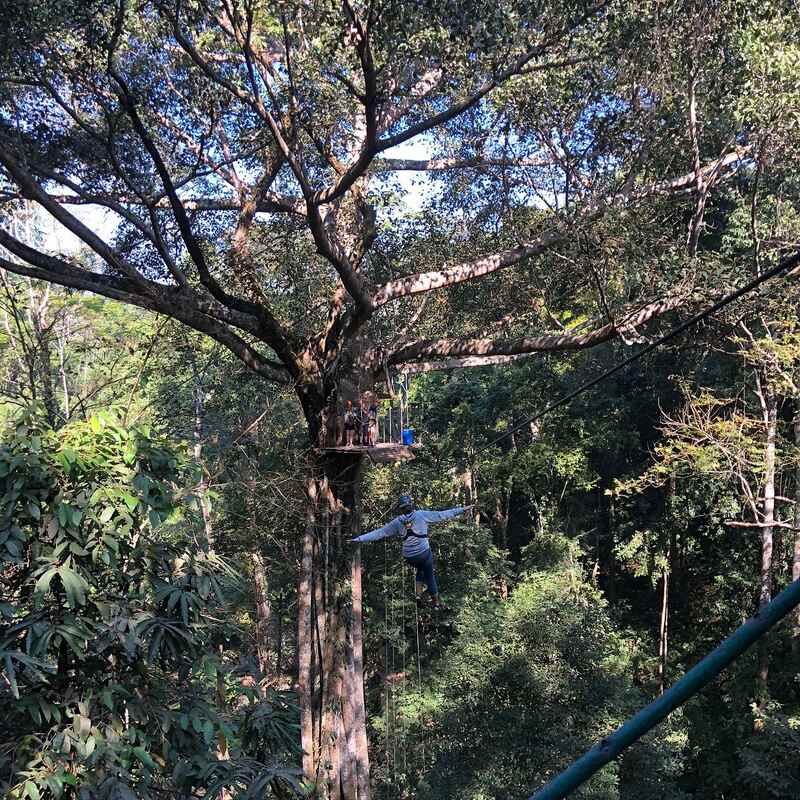 cabañas en arboles en gibbon experience