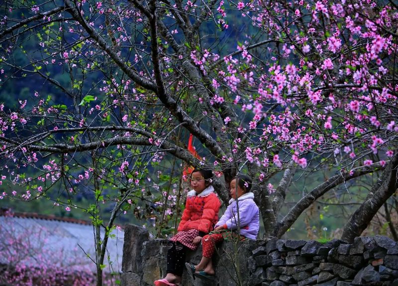 clima en ha giang en enero