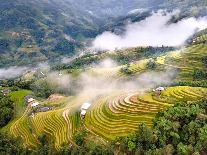 Masterpiece of Hoang Su Phi terraced fields at the northernmost point of the Vietnam's Fatherland