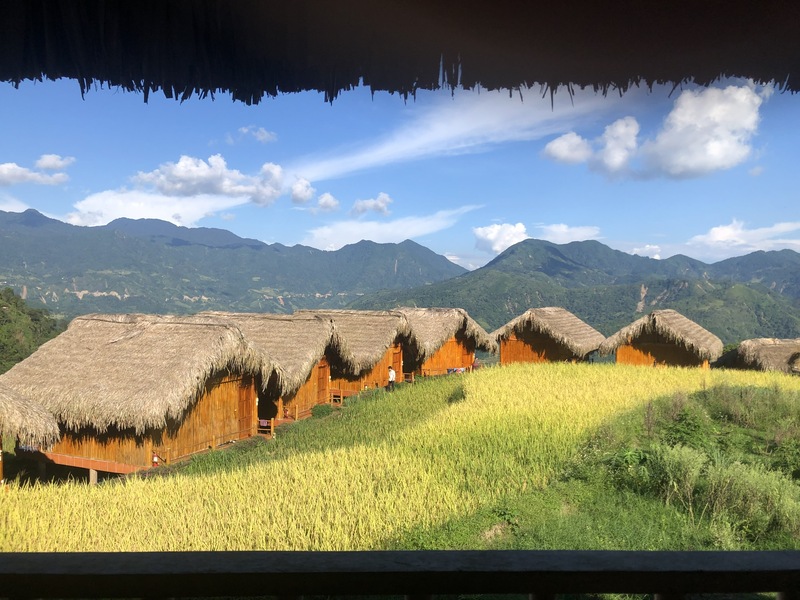 The ripe rice season that I took advantage of while in Ha Giang