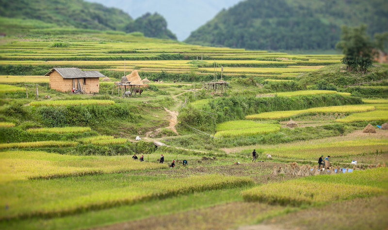 Namdam Community Based Tourism