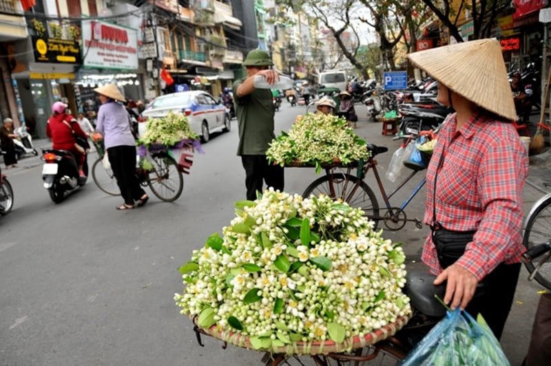 hanoi vendors