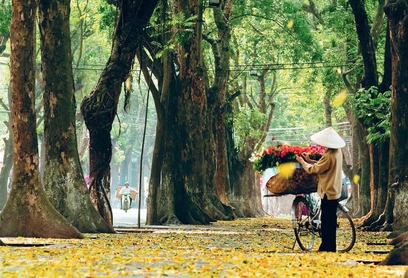 Autumn Hanoi