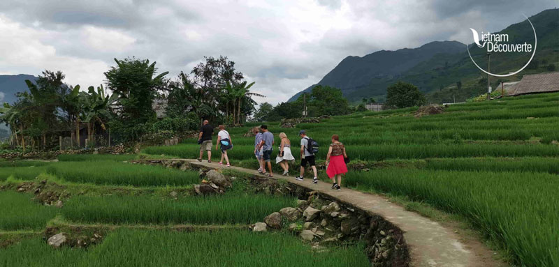 Hiking in the middle of the rice fields in Hoang Su Phi