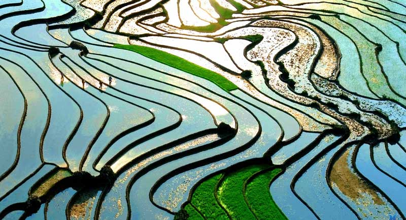 Hoang Su Phi and its Sky Mirrors during the Water Season