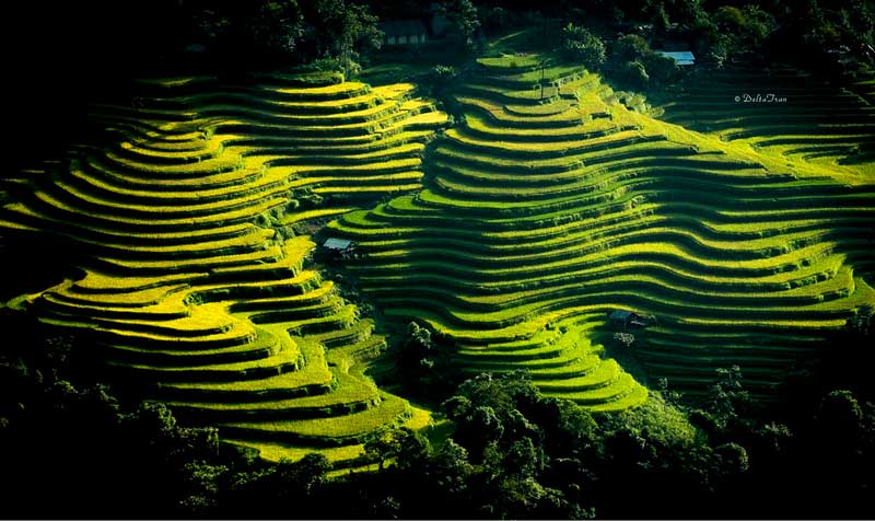 Spectacular rice terraces of Nam Ty and Thong Nguyen