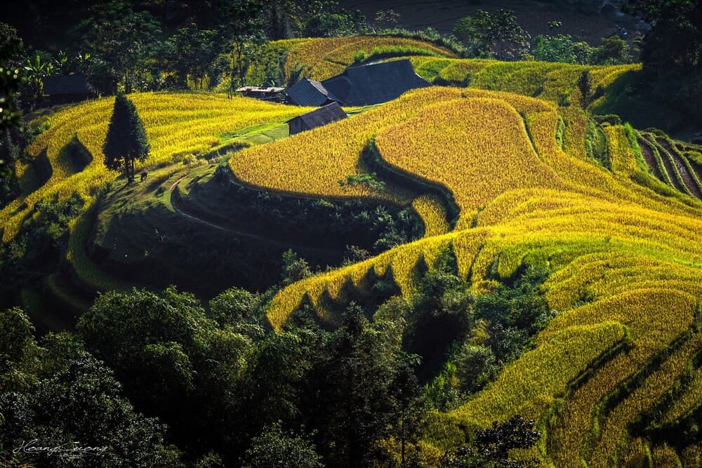 Hoang Su Phi