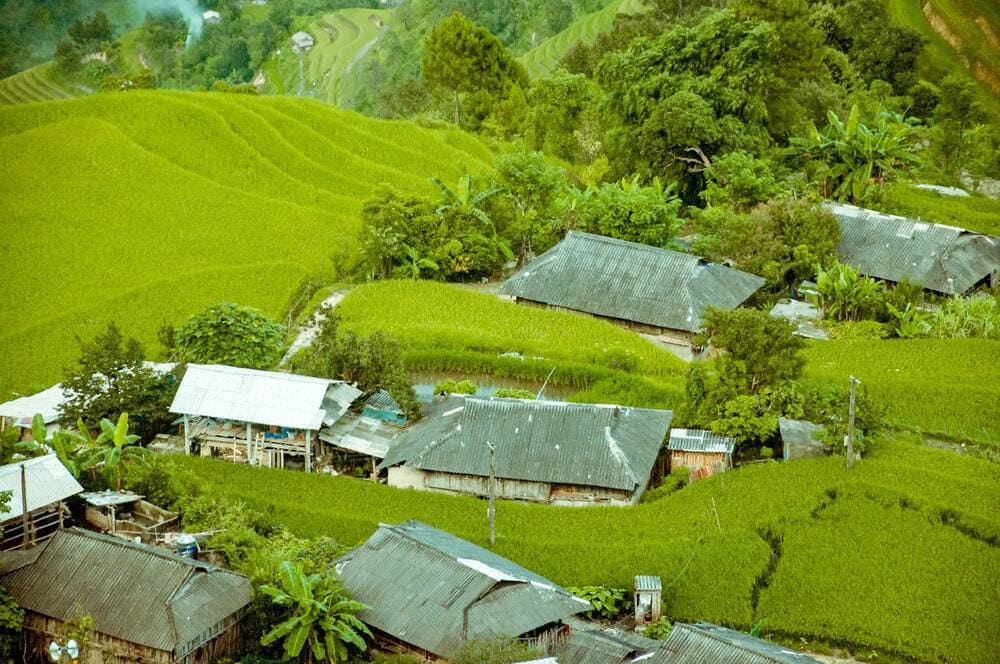 Ban Phung