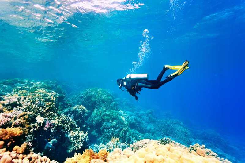 Diving in Khao Lak generally takes place as full-day excursions