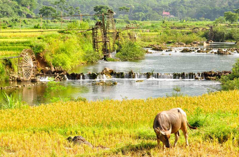 Peaceful little corner of Pu Luong