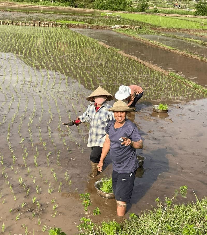 Meeting farmers growing rice during the hike