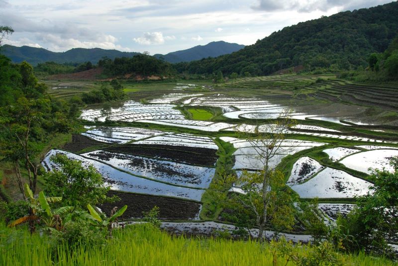 Agricultural landscape near Ban Nong Pet