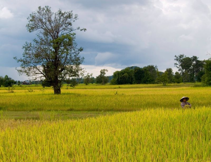 Crossing the 4000 Islands, Laos: The Natural Wonder of the Mekong