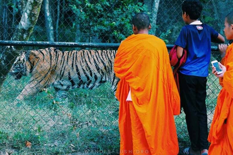 Phnom Tamao Wildlife Rescue Center