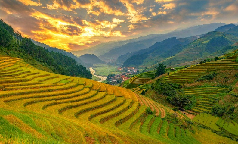 Northern Vietnam's Rice Terraces