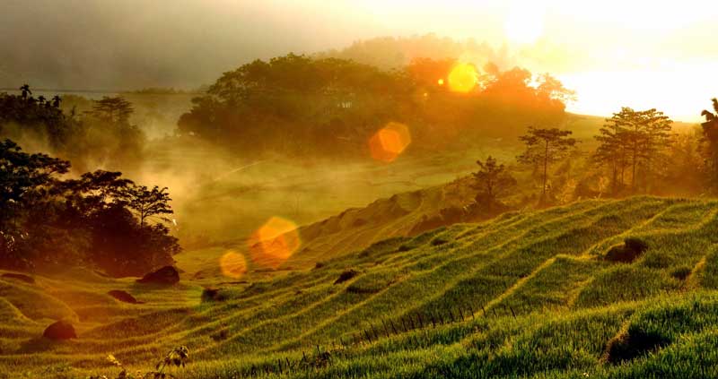 Splendid landscapes of Pu Luong Nature Reserve