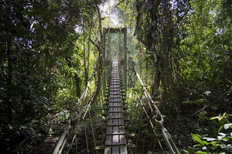 Virachey National Park