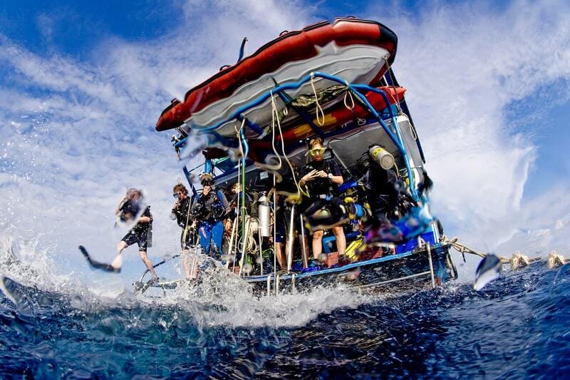 A diving cruise in the Andaman Islands