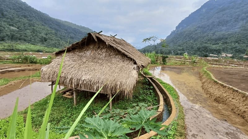 The little house made of leaves where the farmers rest after work in the fields