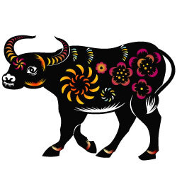The Ox in the 12 Vietnamese Zodiac Signs