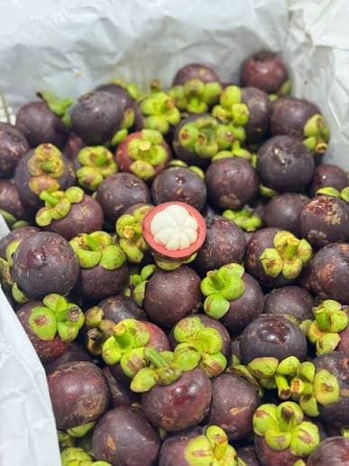 Mangosteen