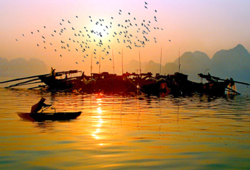 sun rise in ha long