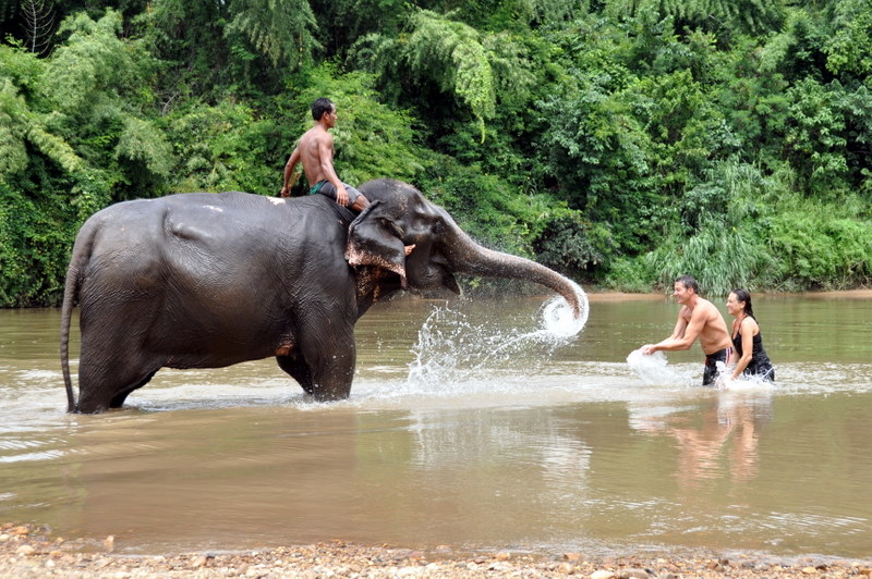 Elephant sanctuary in Kanchanaburi