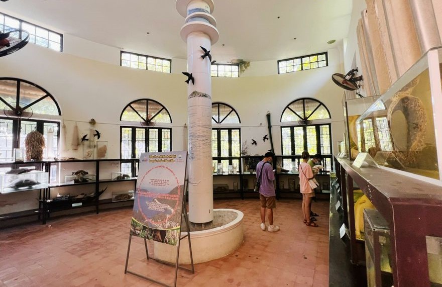 Marine Specimen Conservation Museum