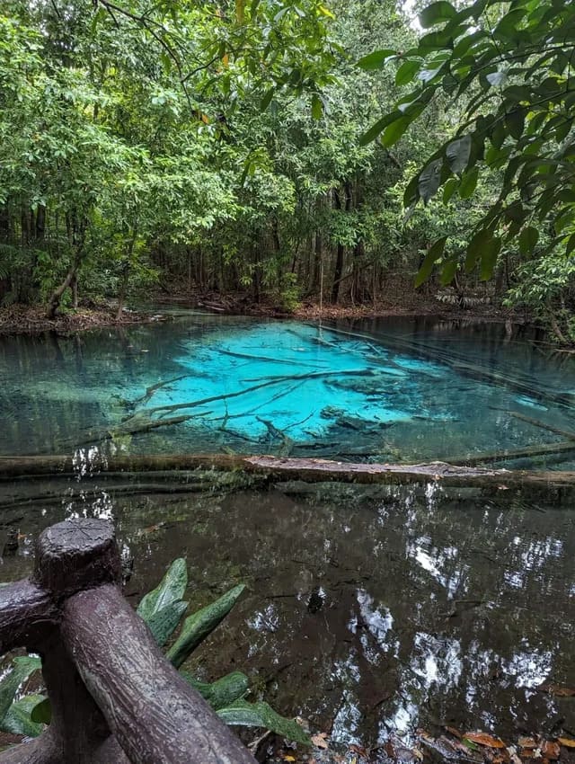 The Emerald Pool, a natural pool in a bright emerald colour