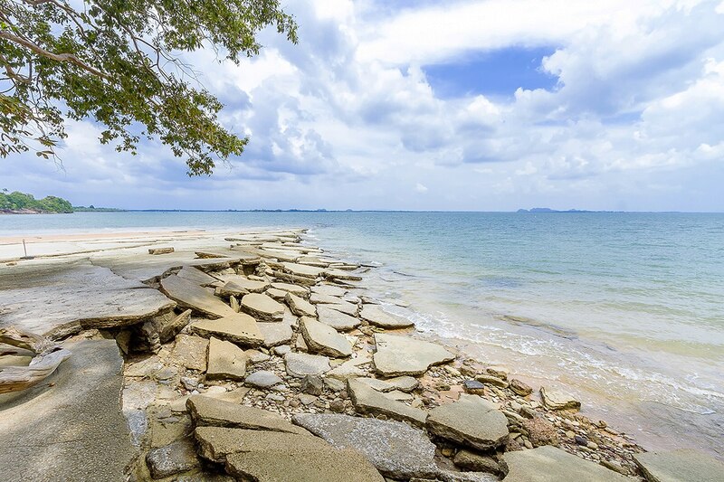 Shell Fossil Beach